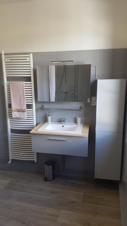 Appartements Coeur De Village 圣让迪布吕耶勒 外观 照片