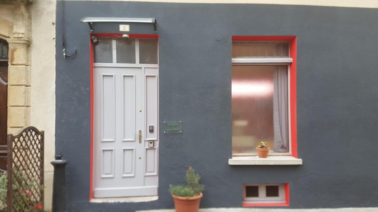 Appartements Coeur De Village 圣让迪布吕耶勒 外观 照片