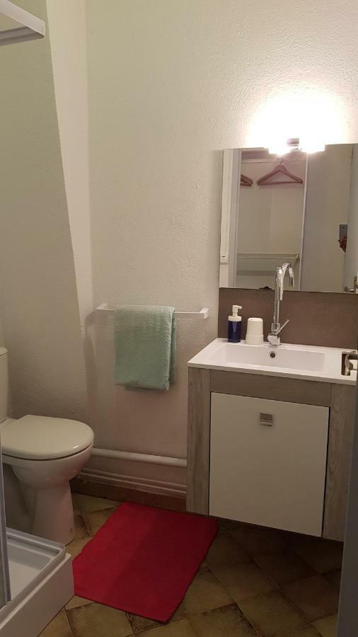 Appartements Coeur De Village 圣让迪布吕耶勒 外观 照片